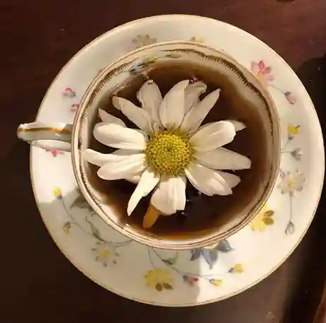 Le secret du séchage : comment préserver le pouvoir des fleurs ?